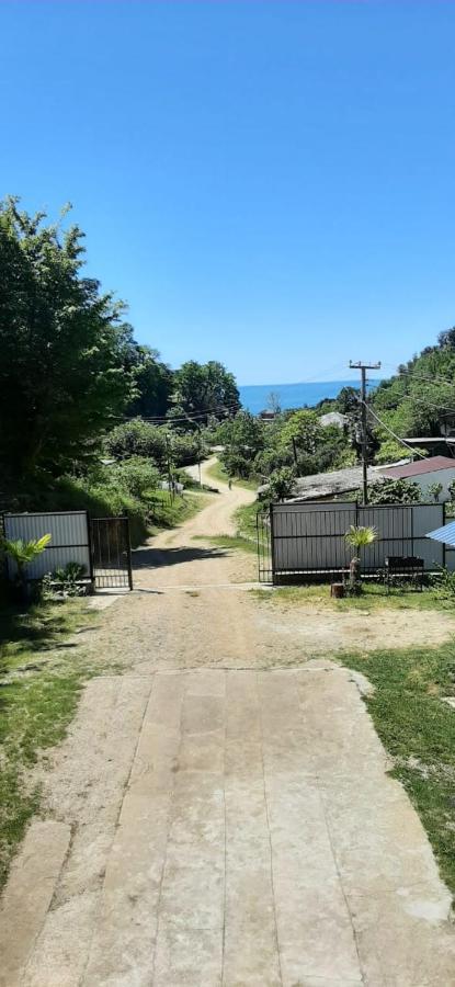 Zolotaya buhta 10 Hotel Pizunda Bagian luar foto